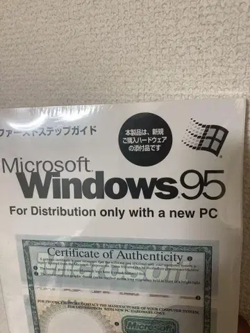 Windows95
