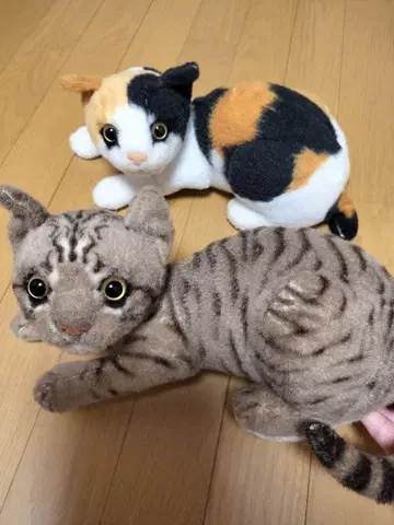 고양이 봉제 인형 2세트