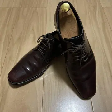 REGAL worth collection 25cm