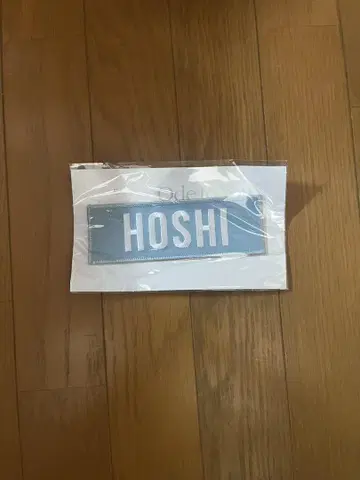 HOSHI Ode to You 핀 배지