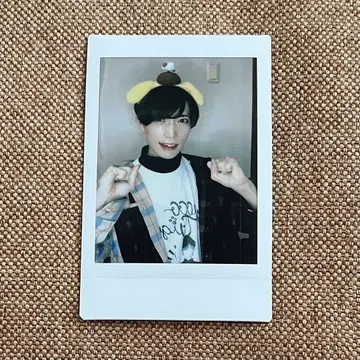 팬더 드래곤 타이거 폴라로이드 4