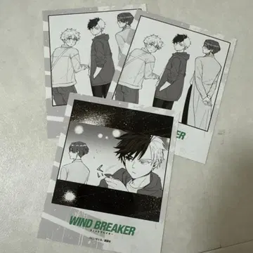 윈드브레이커 프린세스 카페