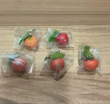 과일 씨앗 액세서리