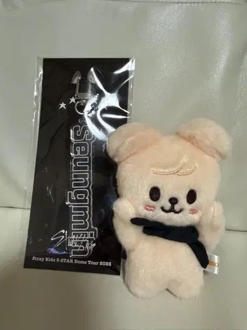 straykids 퍼핌 봉제 인형 승민 아크릴 키링