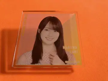 카키 하루카 노기자카46 5000엔 구매 B상 굿즈 개별 아크릴 배지