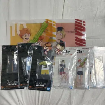 하이큐 제일복권 히나타 연마