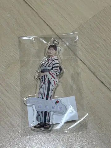 개별 전신 아크릴 키링 한여름 전국 투어 2024 도쿄 ver