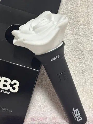 삼대째 MATE 라이트 스틱