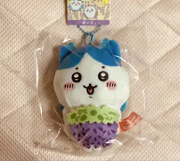 치이카와 (먼작귀) 하치와레 봉제 인형 키링 아시카가 한정판 등나무 꽃
