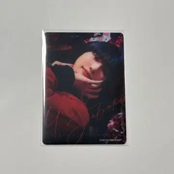 랜덤 클리어 카드 사오토메 메아리