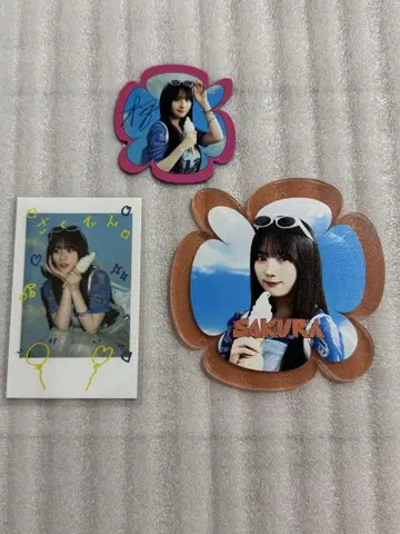 노기자카46 한여름 전국 투어 카페 2025 카와사키 벚꽃