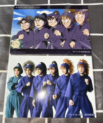 닌뮤 브로마이드 5학년
