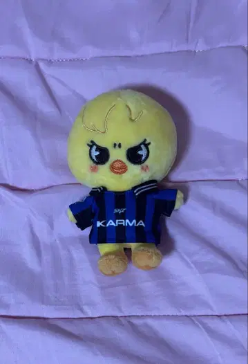 stray kids karma Bbogkari 참