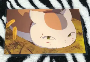 나츠메 우인장 냥코 선생님 엽서 라미네이티드 그린카 유키 a