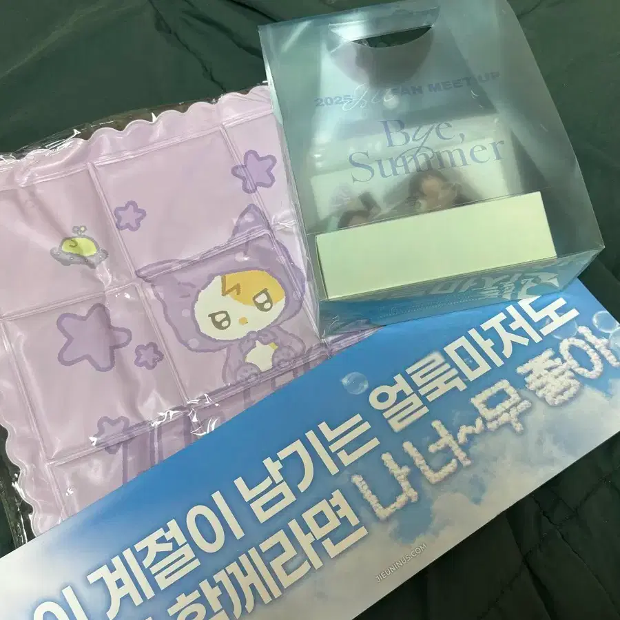 IU | 아이유 2025 Iu Fanmeeting Fanmeetup By Summer Entrance Gift