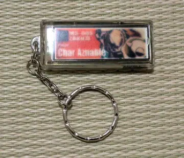 [레어] 기동전사 건담 플래시 플레이트 샤아 자쿠 솔라 패널