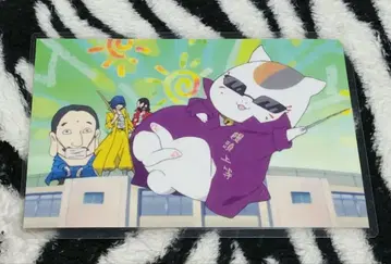 나츠메 우인장 냥코 선생님 엽서 라미네이티드 그린 소매 d