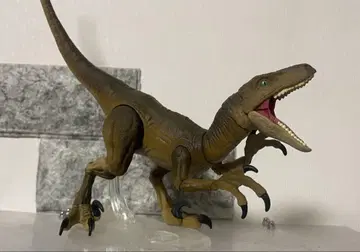 해먼드 컬렉션 벨로시랩터