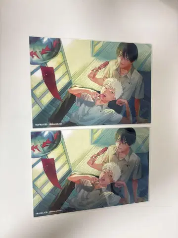 빛이 죽은 여름 카도카와 혜택