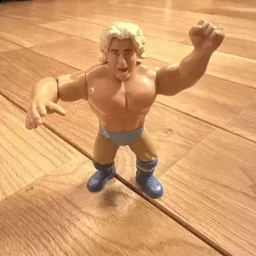 레슬링 피규어 RIC FLAIR WWE MATTEL RETRO