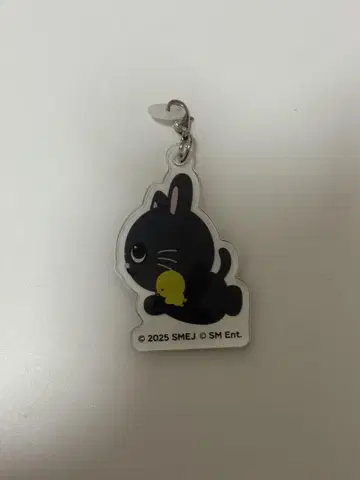 RIIZE PARK CAFE 토냥이 스트로우 참 원빈