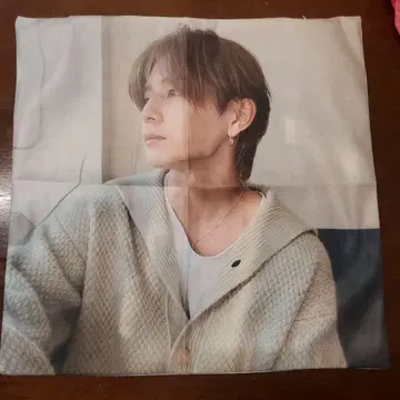 야마다 료스케 쿠션 커버