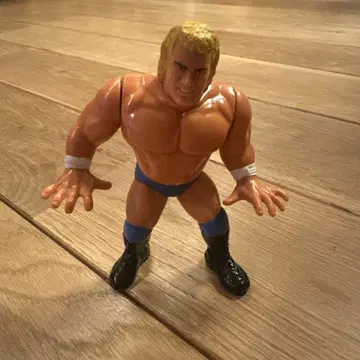 WWF 해즈브로 SID JUSTICE 프로레슬링 피규어