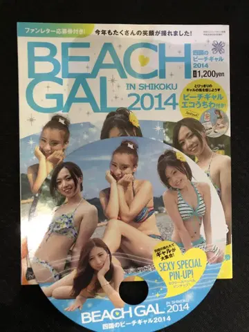 시코쿠 비치 갸루 2014