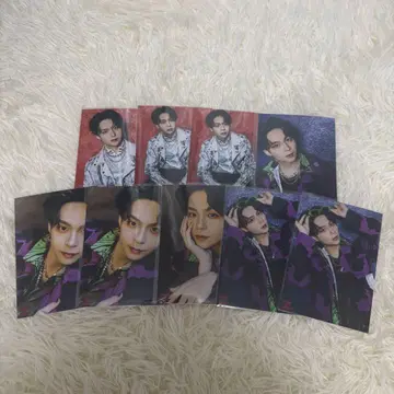 사와무라 레이 생사진 9장 세트
