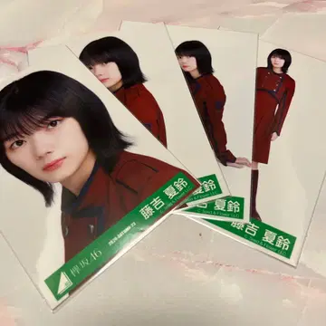 사쿠라자카46 케야키자카46 후지요시 카린 브로마이드 홍백불협화음 컴프