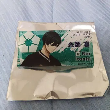 블루 록 에고 페스티벌 네임 배치 이토시 린