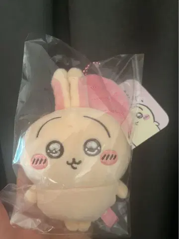 치이카와 (먼작귀) 스 눈 토끼 마스코트