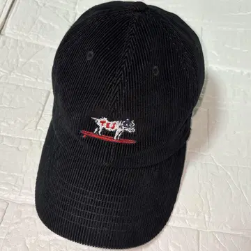 새상품급 TES 엔드리스 써머 코듀로이 캡 모자 블랙