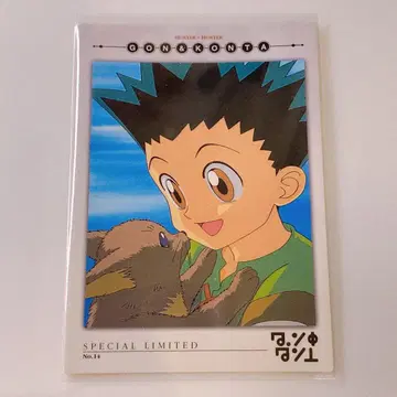 HUNTER x HUNTER 카드다스 마스터즈 곤 프릭스
