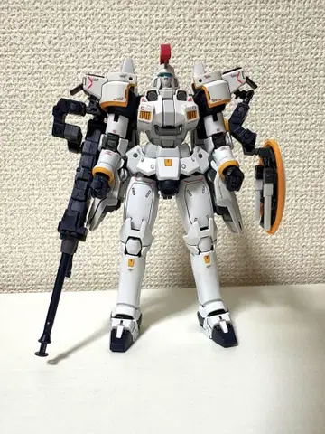 RG 신기동전기 건담W Endless Waltz 토르기스 EW
