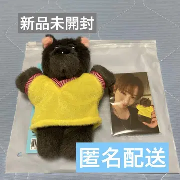 BOYNEXTDOOR 보넥도 푸넥도 봉제 인형 키링 명명