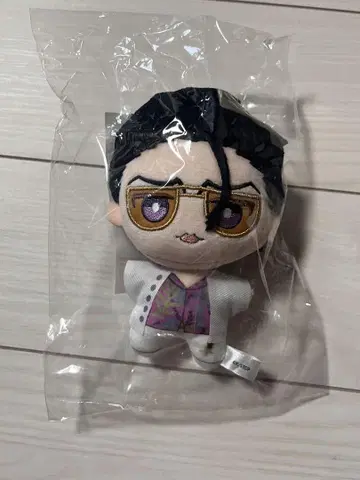 BLEACH THE HIGHSCHOOL WARFARE 봉제 인형 아스킨