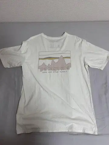 Patagonia 오가닉 코튼 T셔츠 S