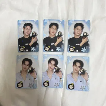 WinnySatang 트레이딩 카드 카세트