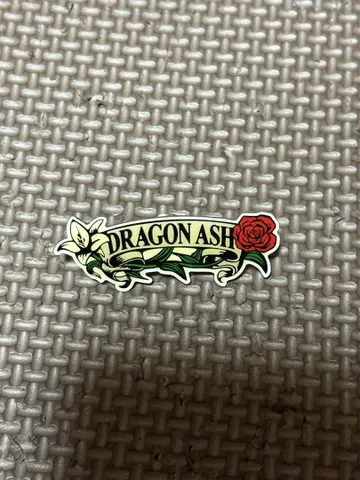DRAGON ASH 핀 배지