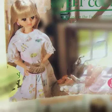 제니 엽서 5장 스위츠 컬렉션 팜플렛 1장 컨디션 최상