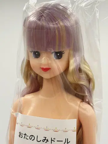 주디 즐거운 인형 리카짱 캐슬 제니 프렌드 믹스 헤어