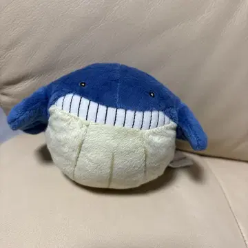 포켓몬 fit 호엘코 봉제 인형