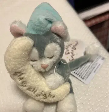 디즈니씨 한정판 젤라토니 인형 배지 키링