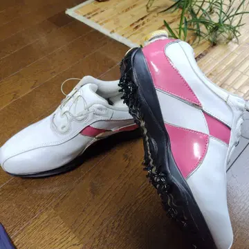 골프화 여성용 화이트/핑크