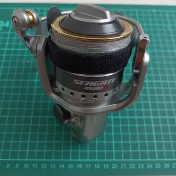 Daiwa SEAGATE 4500H