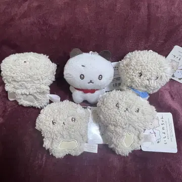 [ 미사용 새상품 택 포함 ] 이시요와짱 마스코트 키체인 5종 컴프 세트