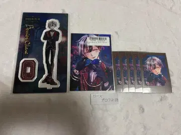 악마고양이 벨리안 로즈 발렌타인