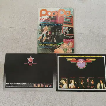 Pop Pop 음악/연예 특집 튤립
