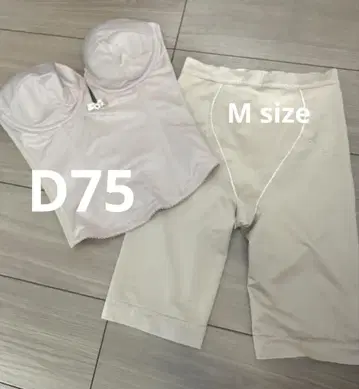 bridalbloom 브라이덜 이너 세트 D75 M 사이즈